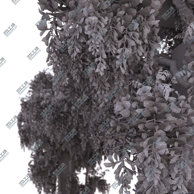images/goods_img/2021040235/Wisteria Pergola 3D/3.jpg